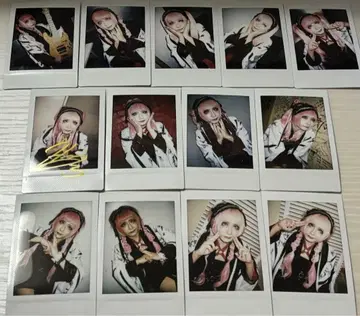 나방과 나비 잇시키 비요리 폴라로이드