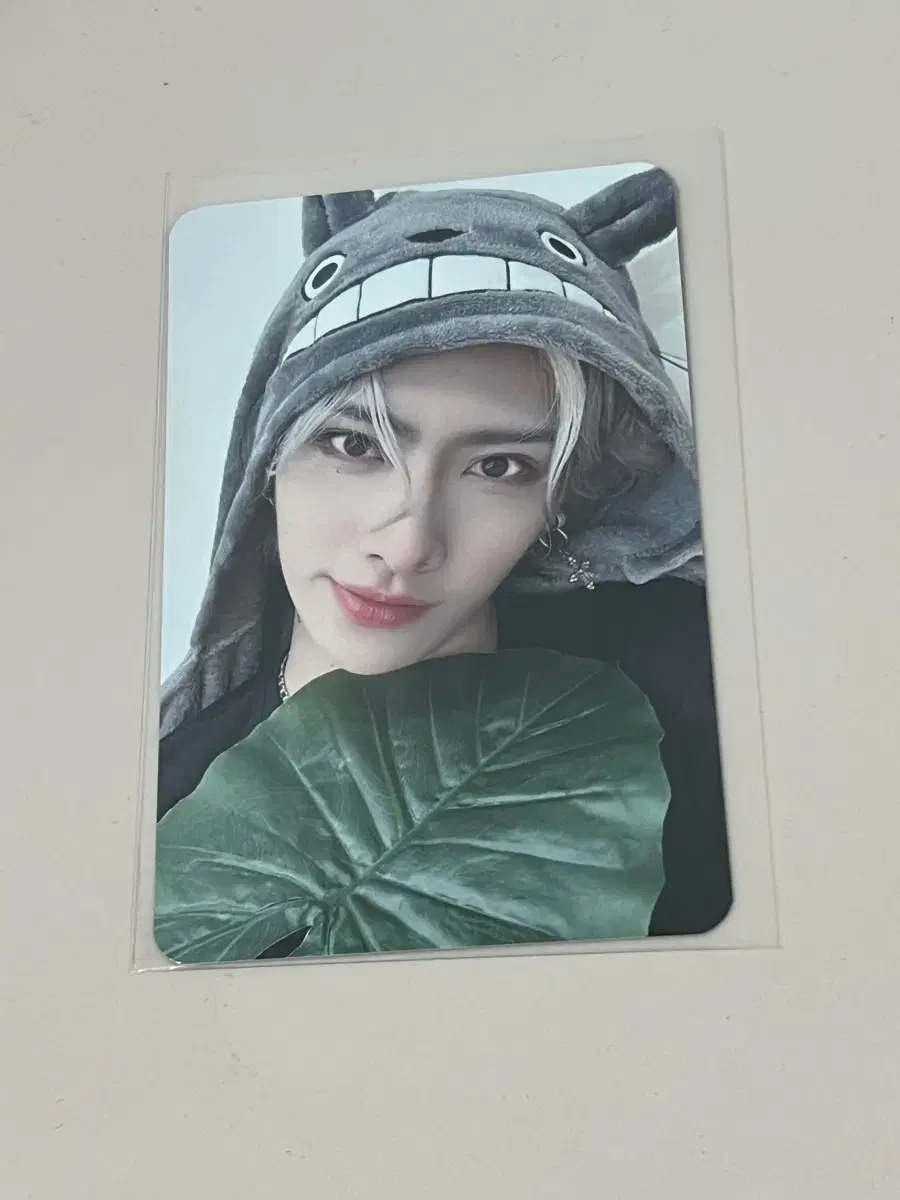 zb1 everline totoro ld poca unreleased photocard Ricky