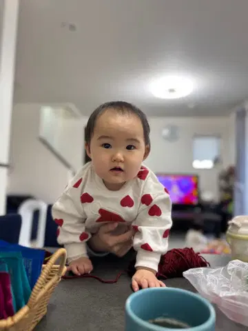 HONGAMA 미니어처 컬렉션 가챠 전 5종 컴프