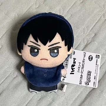 하이큐!! SD 인형 애니멀 판초 vol.2 카게야마 토비오