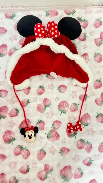 디즈니 팬캡 미니 마우스 크리스마스