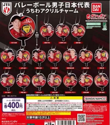 배구 남자 일본 대표 아크릴 참