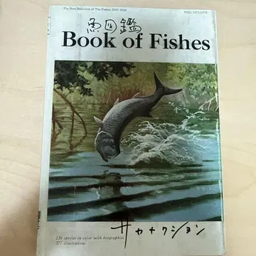 사카낙션 베스트 앨범 어도감 [ 초회 한정판 B ]