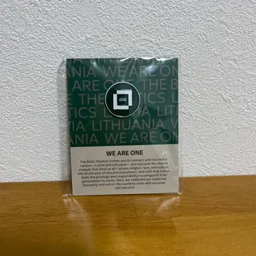 WE ARE ONE 핀 배지