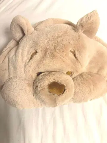 디즈니 팬캡 푸우