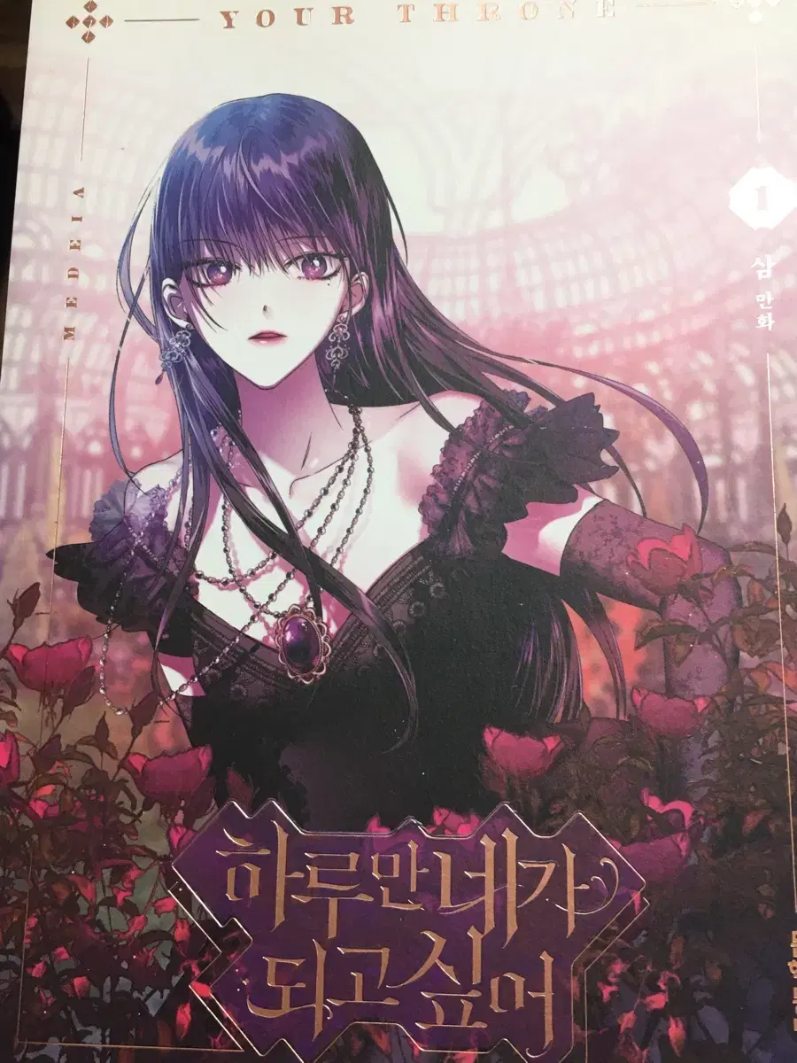 I Want to Be You for Just One Day, Vol. 1 Webtoon Comic Book Disposal