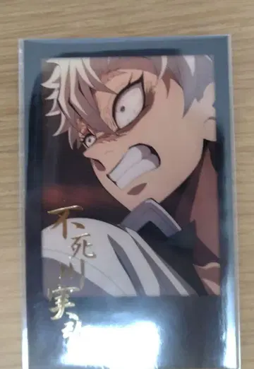 시나즈가와 사네미 폴라로이드