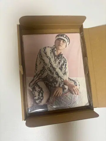 seventeen 아이노치카라 사진 캔버스 호시