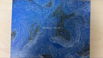 사카낙션 834.194 완전 생산 한정판 B [DVD 부속물]