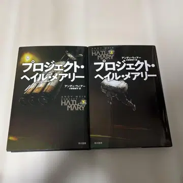 프로젝트 헤일 메리