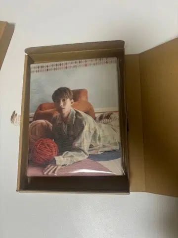 seventeen 아이의 힘 사진 캔버스 dk 도겸