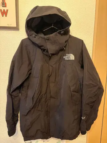 THE NORTH FACE 고어텍스 마운틴 후드티