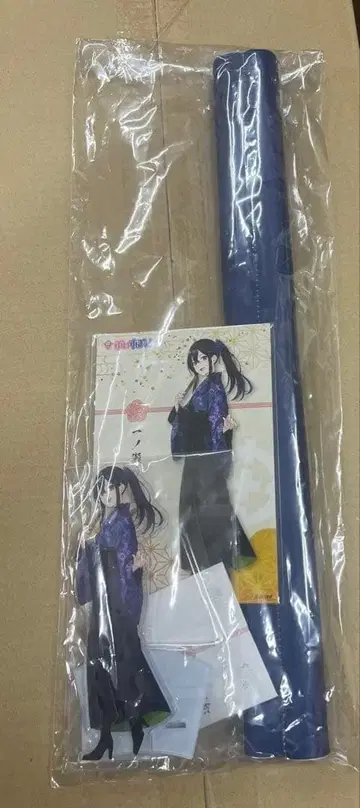 브이스포! 금하신년 2024 이치노세 우루하