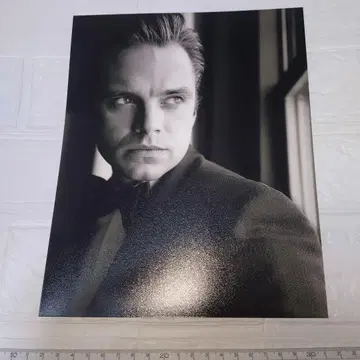 세바스찬 스탠 사진