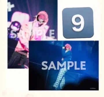 미카사 군 B상 브로마이드