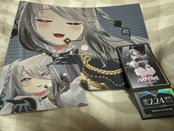 소피아 니지 페스티벌 카드