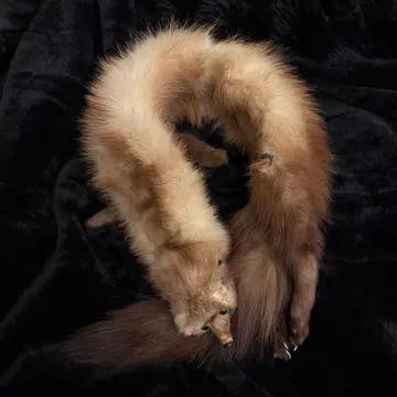 족제비 스톨 gothic v y2k 갸루 mcbling 헤이세이