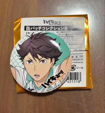 하이큐 오이카와 토오루 하이 드로잉 캔뱃지 컬렉션