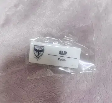 [ 당일 발송 ] 니지산지 카이세이 네임 배지