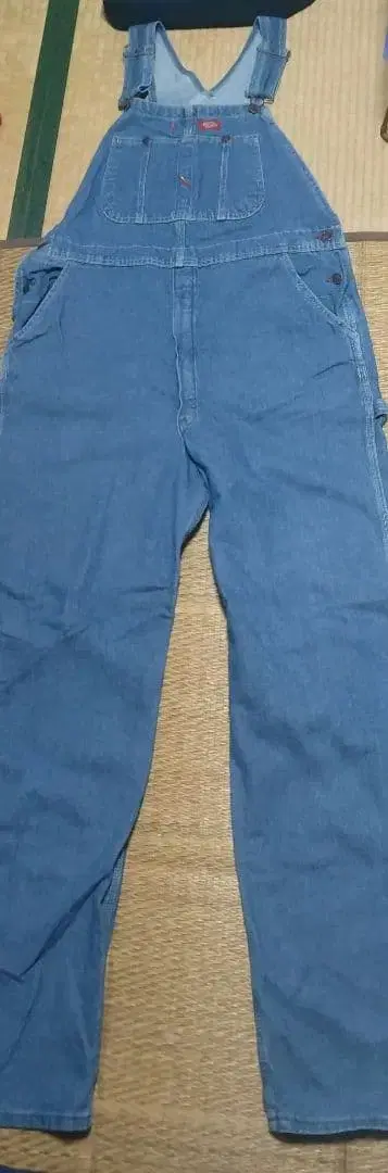 Dickies 데님 오버롤 34 x 36