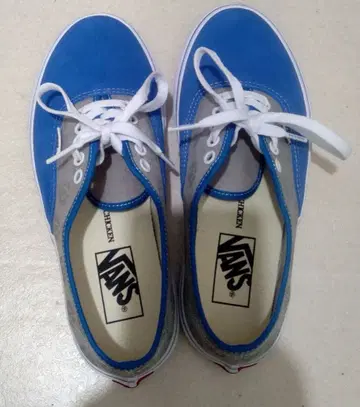 BUMP OF CHICKEN VANS 24.5