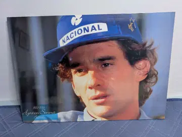 새상품급 아일톤 세나 빅 패널 포스터 포스터 배송비 포함