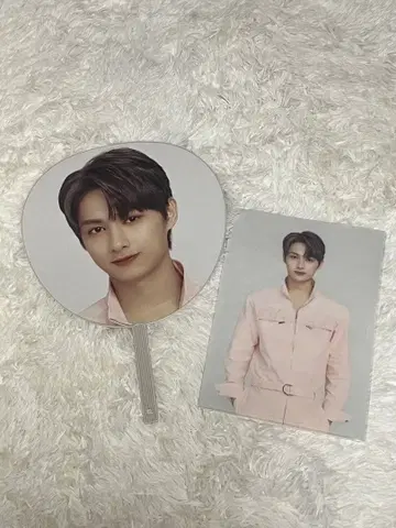 [ SEVENTEEN 준 ] 부채 클리어 파일 세트