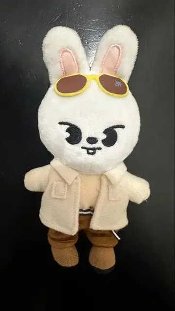 스트레이 키즈 리노 리빗 백참