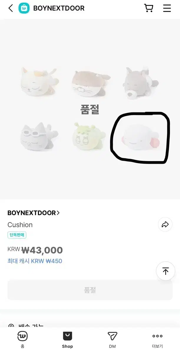 Boynextdoor Cushion Unaegi