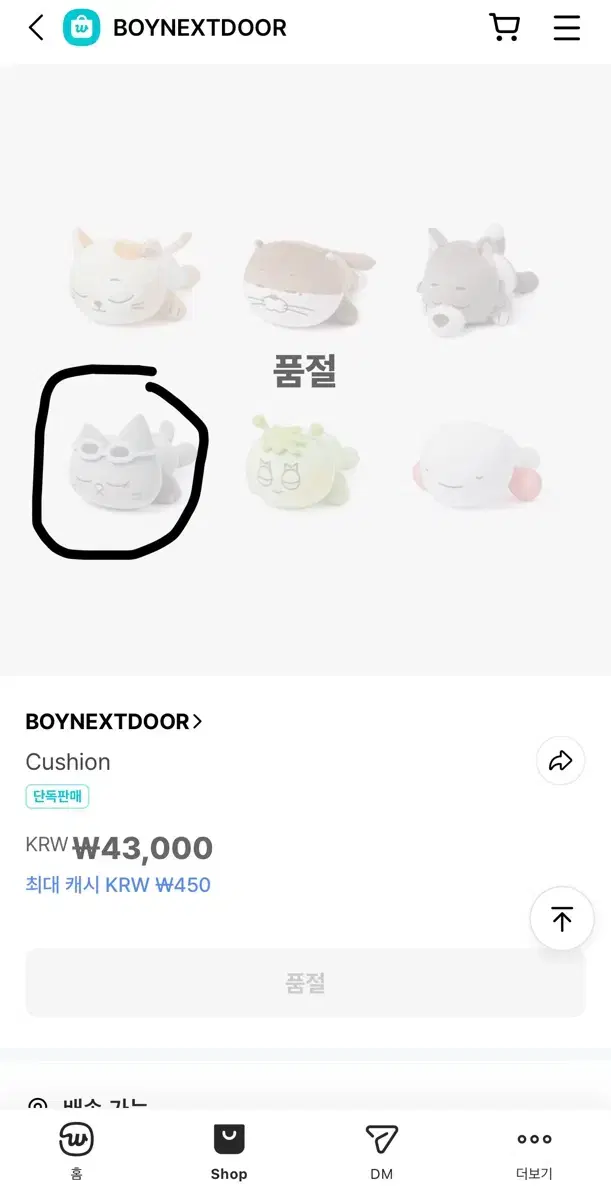 Boynextdoor cushion han