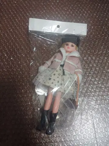 리카짱 인형 LD-17 무스탕 믹스