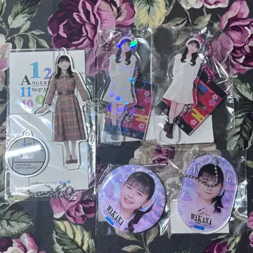 [ 안쥬르므 ] 마츠모토 와카나 아크릴류 모음