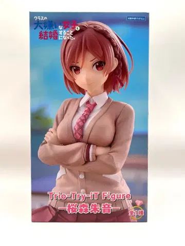 클래스의 극혐하는 여자와 결혼하게 되었다. 사쿠라모리 아카네 피규어