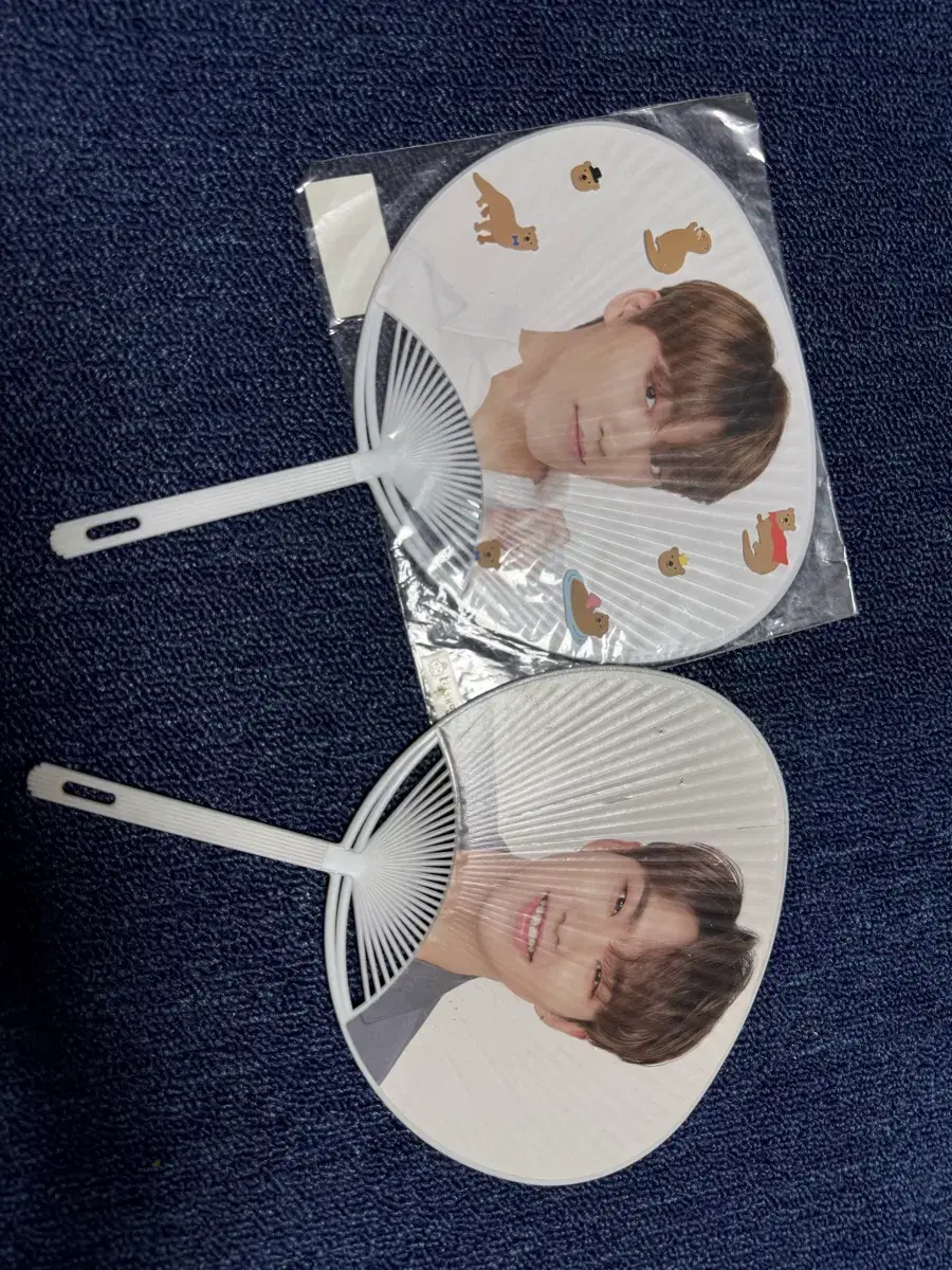 Seventeen mini wuchiwa Hoshi Dino 2 pcs bulk wts