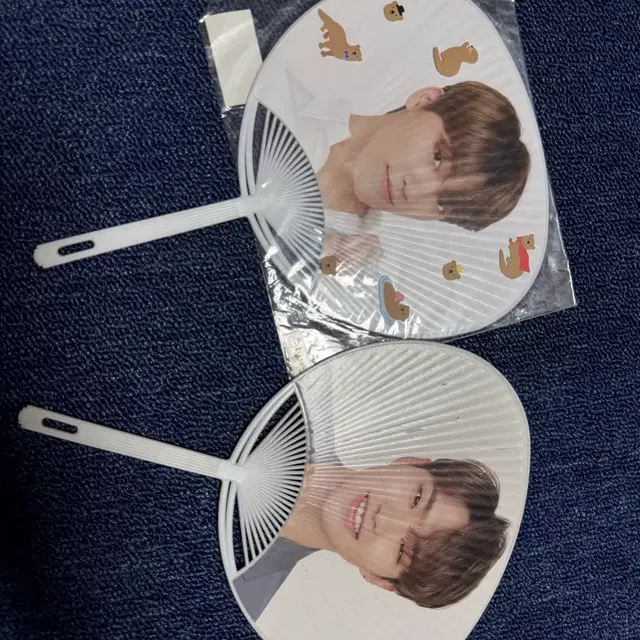 세븐틴 미니 우치와 호시 디노 2개 일괄 양도