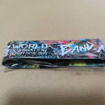 BAND-MAID 밴드메이드 WORLD DOMINATION 리스트 밴드