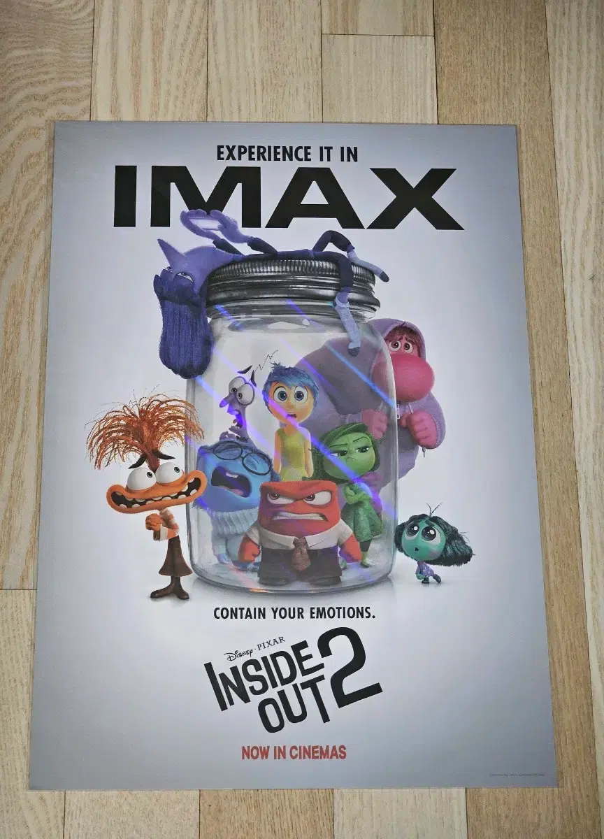 Movie A3 poster [Inside Out 2].