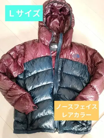THE NORTH FACE 후드 부착 다운 자켓