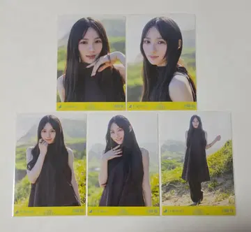 노기자카46 카와사키 사쿠라 Same numbers 브로마이드 5장 세트