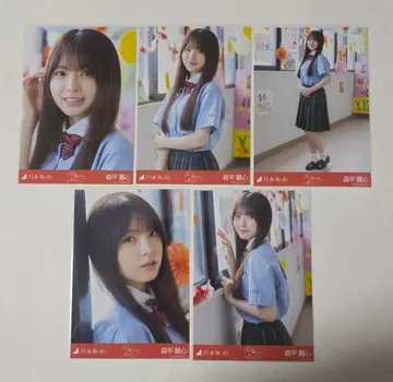 노기자카46 모리에 레이신 왜 우리는 달리는가? 브로마이드 5장 세트