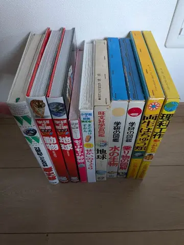도감 10권 세트 (동물, 지구, 과학 등)