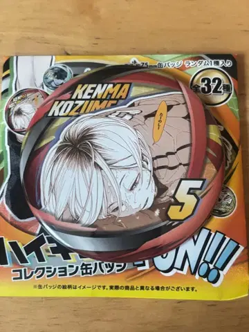 하이큐 팬파크 컬렉션 캔뱃지 네코마 켄마