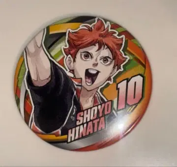 하이큐 팬파크 컬렉션 캔뱃지 카라스노 히나타