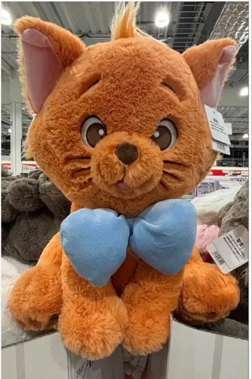 코스트코 올슉업 캣 루즈 마리