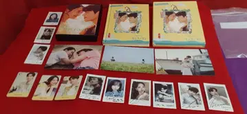 갯마을 차차차 DVD 외