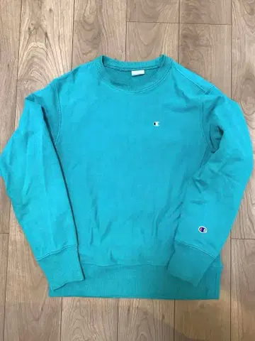 챔피온 리버스 위브 챔피온