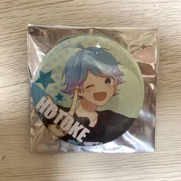 아이레쓰 -hotoke- Irregular Record CD 특전 캔뱃지