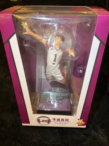 하이큐 우시지마 와카토시 액션 피규어