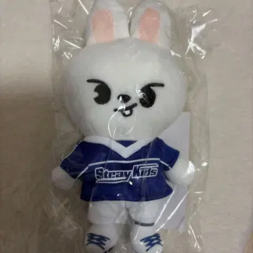 skzoo 백참 리빗 straykids