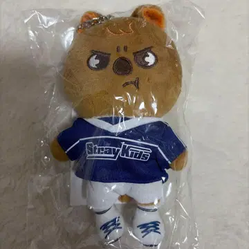 skzoo 백참 한쿼카 straykids